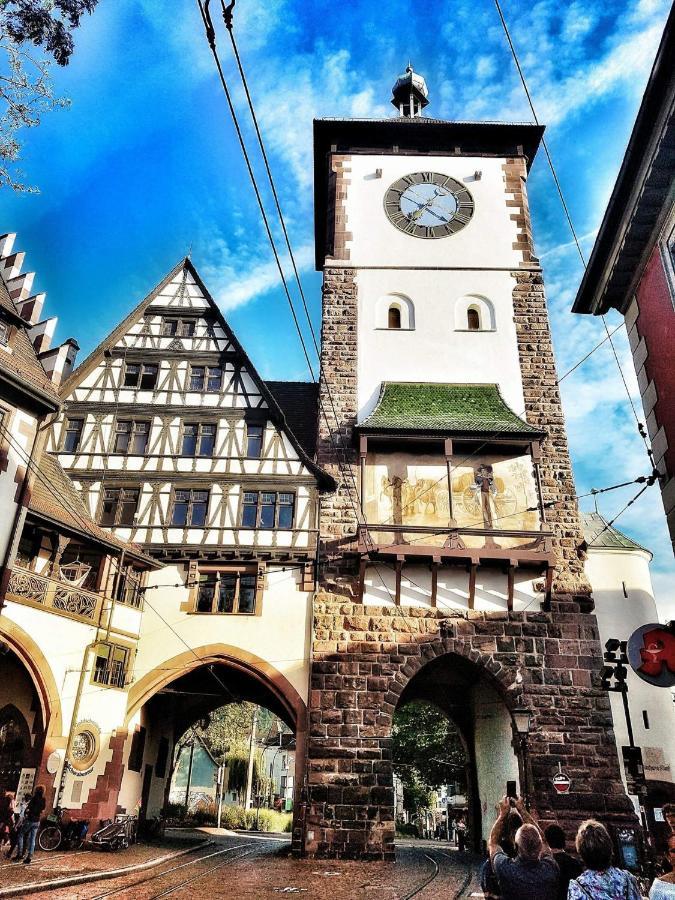 Deluxe Apartment Flamingo In Paradise Freiburg im Breisgau Dış mekan fotoğraf