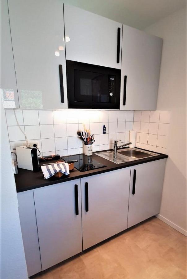 Deluxe Apartment Flamingo In Paradise Freiburg im Breisgau Dış mekan fotoğraf