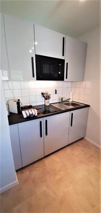 Deluxe Apartment Flamingo In Paradise Freiburg im Breisgau Dış mekan fotoğraf